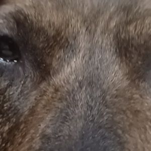 Meet your Posher, Jeremt